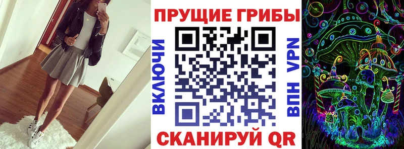 сайты даркнета как зайти  Игра  Псилоцибиновые грибы Psilocybe 