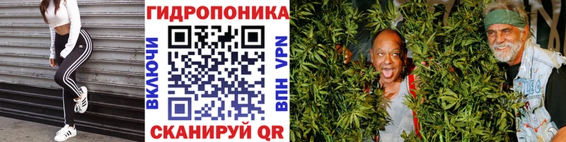 Бошки Шишки индика  Игра 
